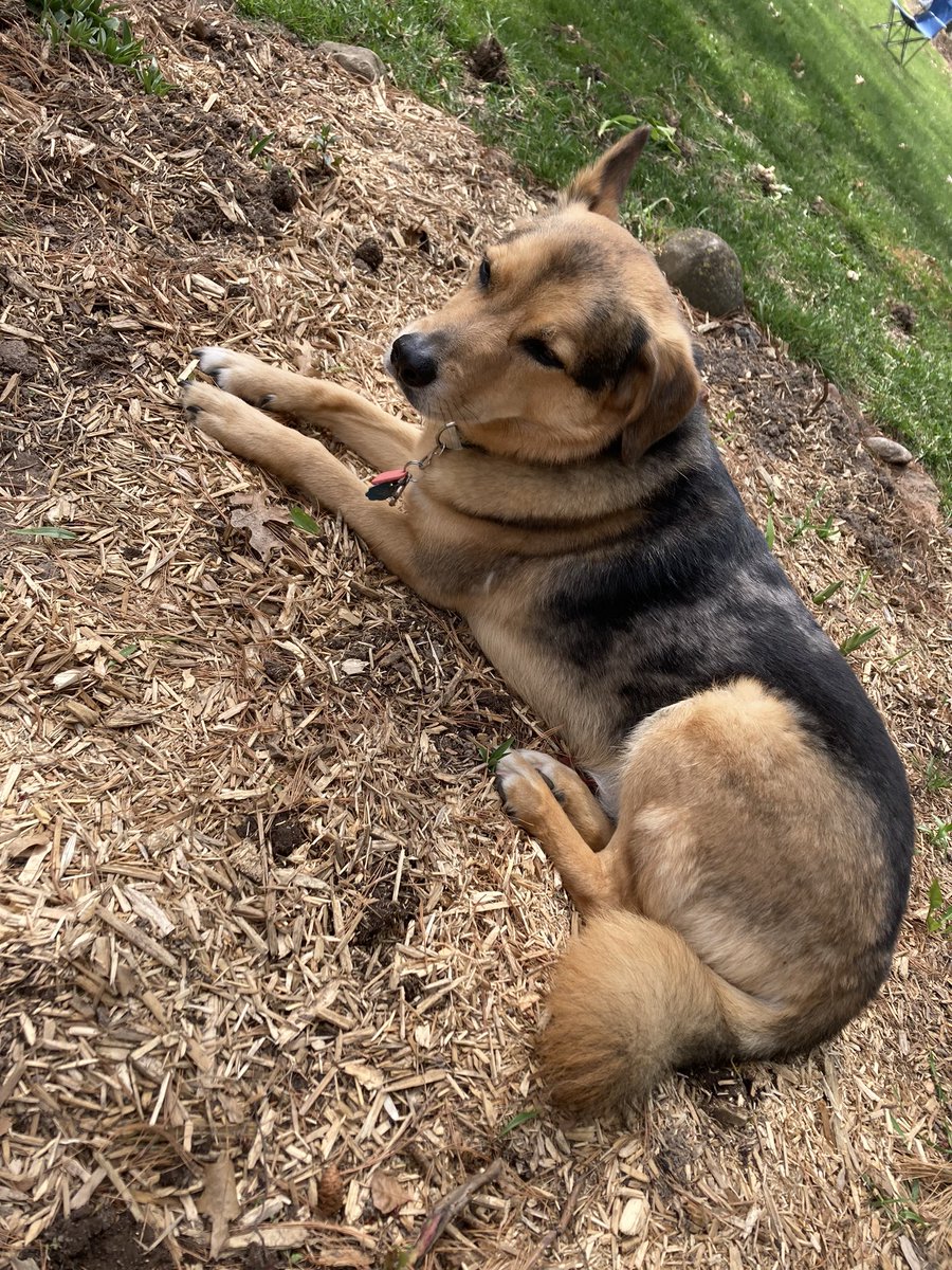 I am Lena’s mom tweet media