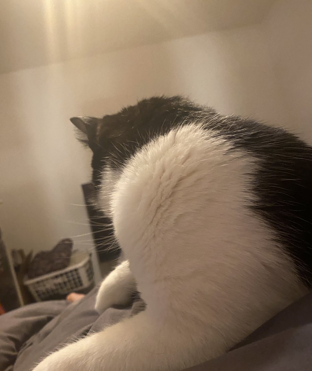 Sua On Twitter I Recently Moved In With My Gf And I Am Stepdad For 