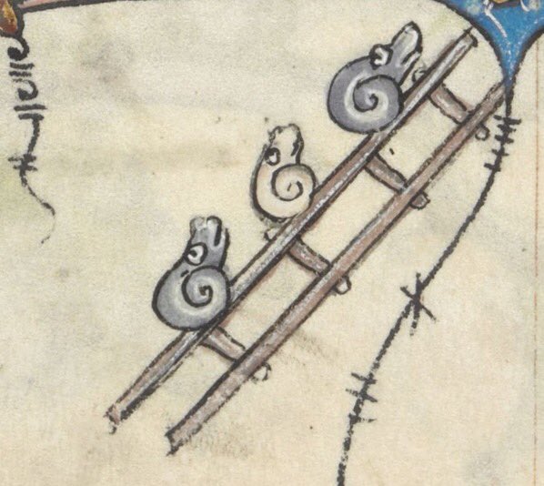 snails going up a ladder, france, 13th century
