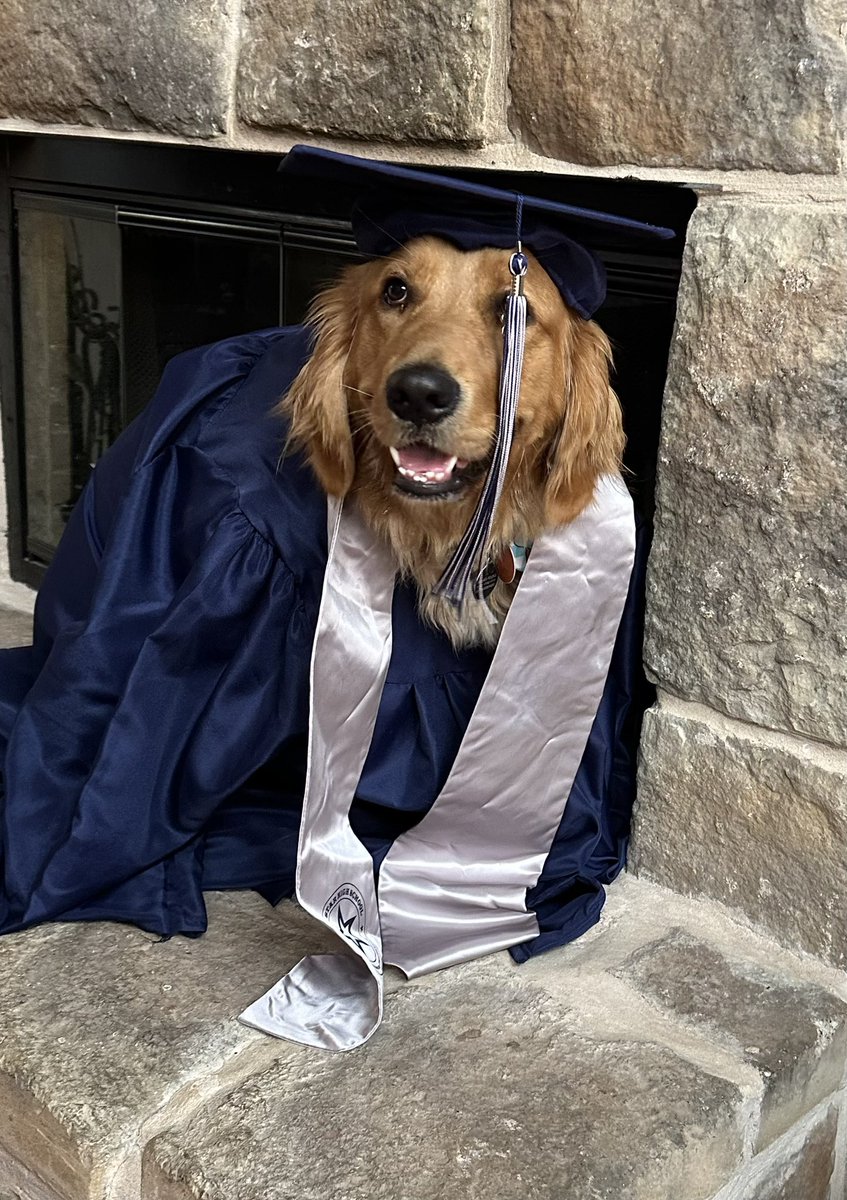 BaileyTherapy1's tweet photo. My seniors graduate tonight! I’m so proud of you! Go out into the world confidently and be the amazing people you are https://t.co/m7NTlm5hk2