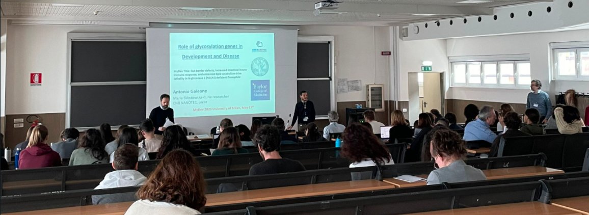 MyDEV23's tweet photo. MyDev23 just finished! A great day of science with a super keynote lecture, great talks, wonderful discussions and posters. 112 enthusiastic scientists attended! We will be back in 2025! Enjoy the pictures of today's event! @LaStatale https://t.co/j97XB3fLG5