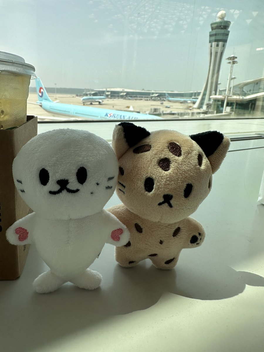 DWs_tp's tweet photo. 귀요미들과 함께 휴가 시작 🇪🇸 https://t.co/brYC14dX1n
