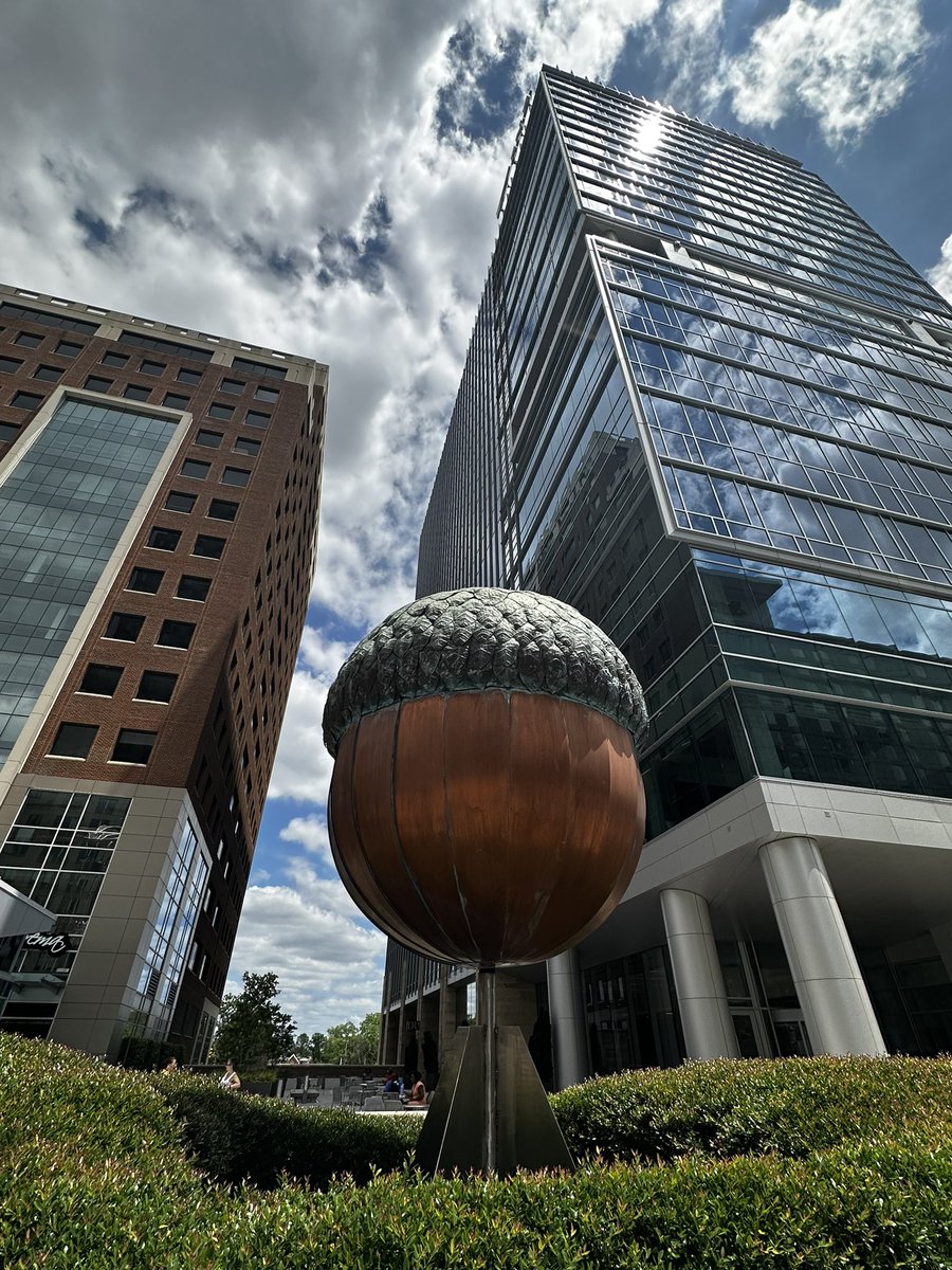 OverdorfShana's tweet photo. DTR showing off for @artsplosure #unfilteredviews https://t.co/bSMWgZ9rfB