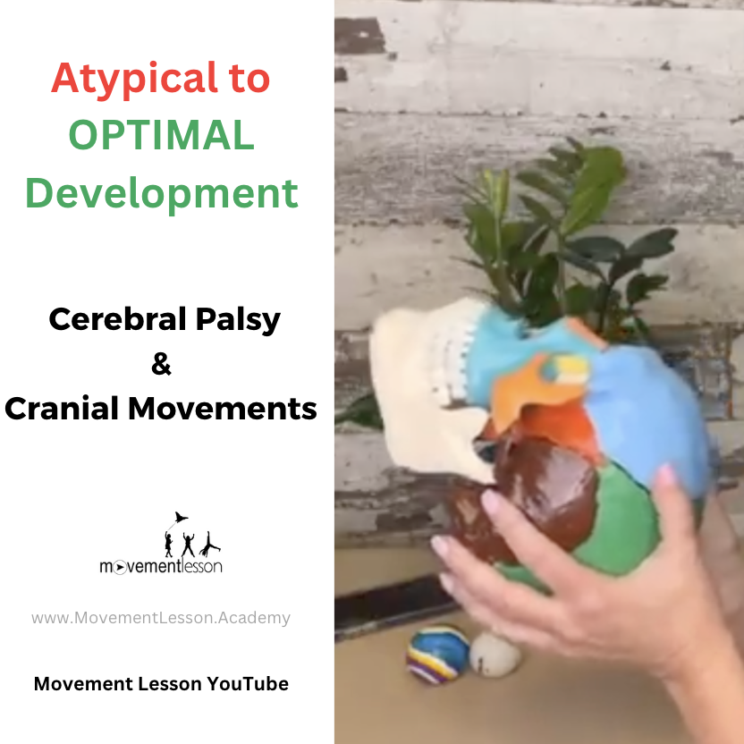 Concerned your baby has Cerebral Palsy?
How can you tell if your baby is at risk for CP?
Learn more about what the head can tell you about your baby's development.
Click the link, youtu.be/z_QB4jdvocc

#movementlesson #optimaldevelopment #cerebralpalsy #helpmybaby #cpawareness