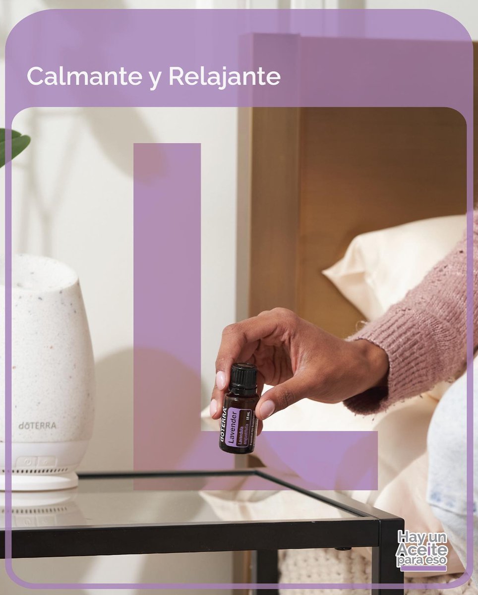 essentialpanama tweet media