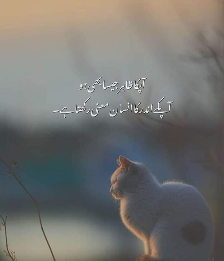 ˙❥˙RJ Shaنzay عLi˙❥˙ tweet media