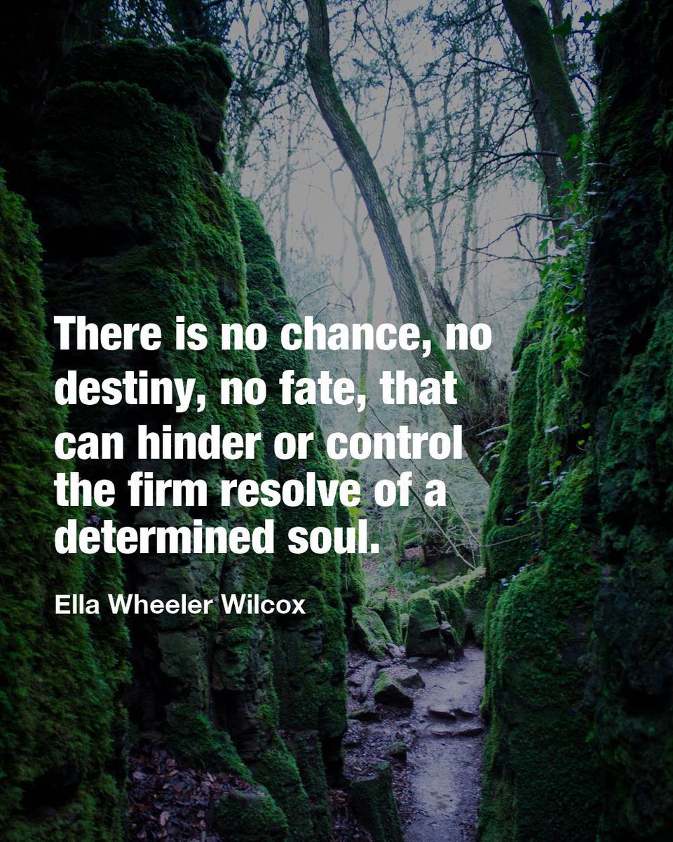 the_fullness's tweet photo. https://t.co/BE5tCO2qyj