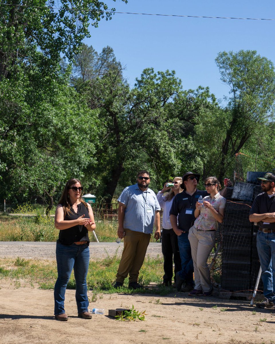 Placer Resource Conservation District tweet media