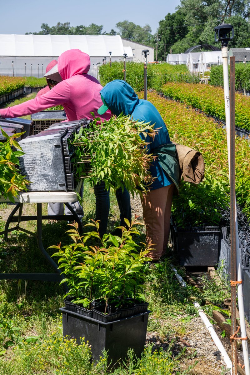 Placer Resource Conservation District tweet media