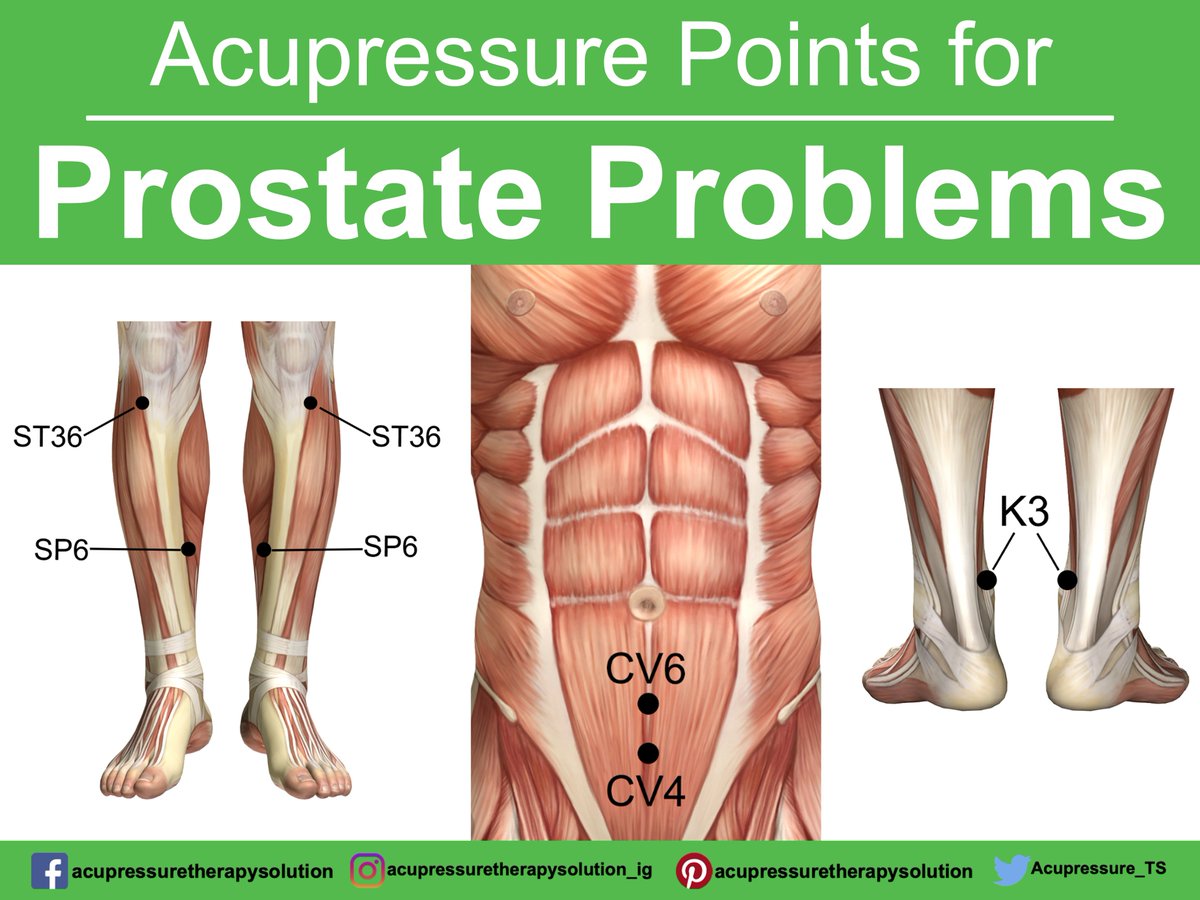 Acupressure_TS's tweet photo. Acupressure Points for Prostate Problems

If you have this symptoms, try using this point to treatment

>>> Click here to Get "The Ultimate Acupressure Quickstart Guide!"

https://t.co/CJYlJb8TZ2

#prostate #prostateproblems #prostatepain #acupressure #massage #wellness #selfcare https://t.co/B8YavbYh8b