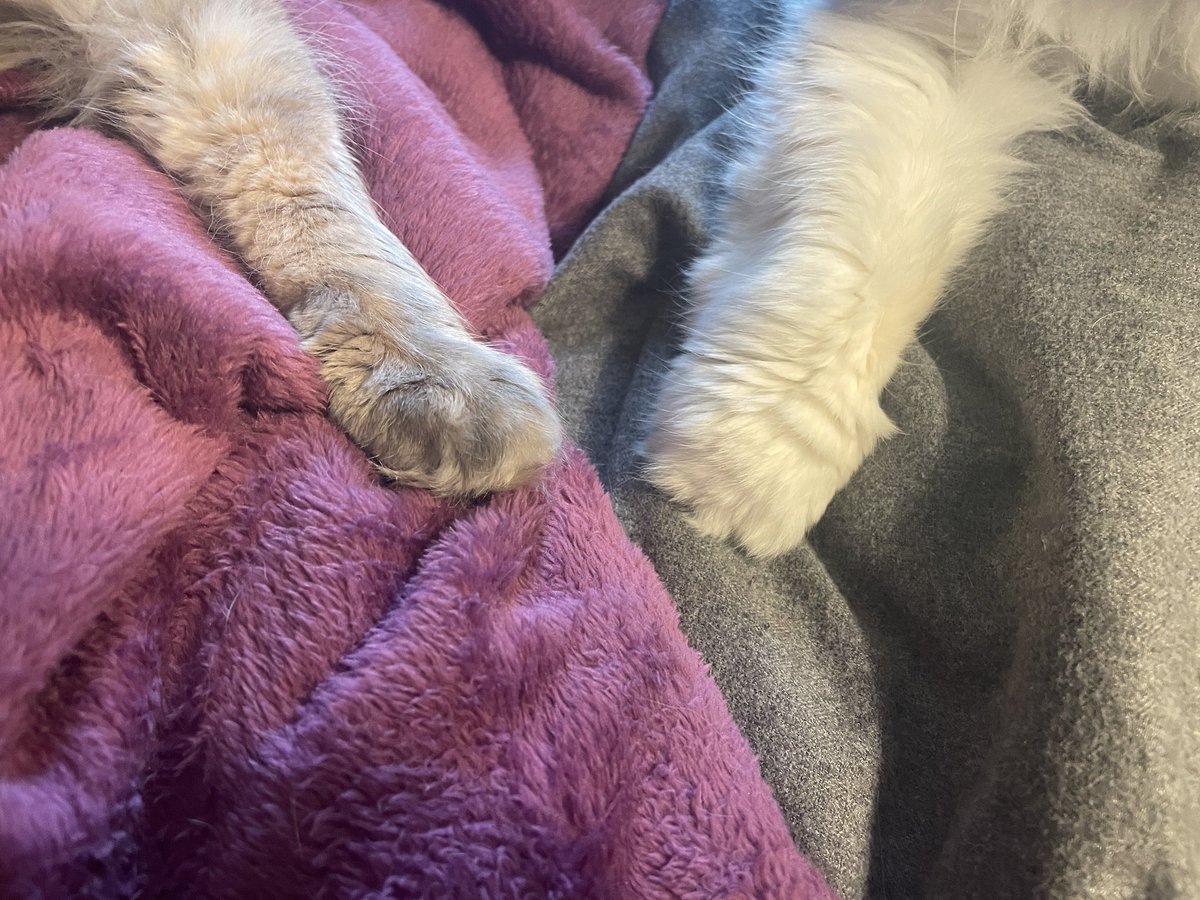 lucille and leo have helped me more than they know.