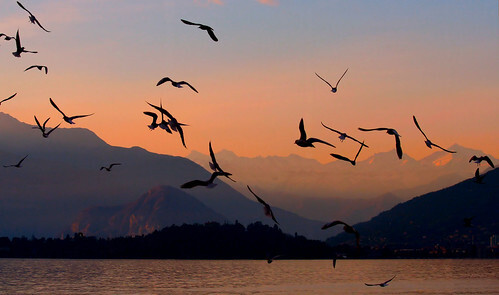 Sunset in Laveno : Lago Maggiore