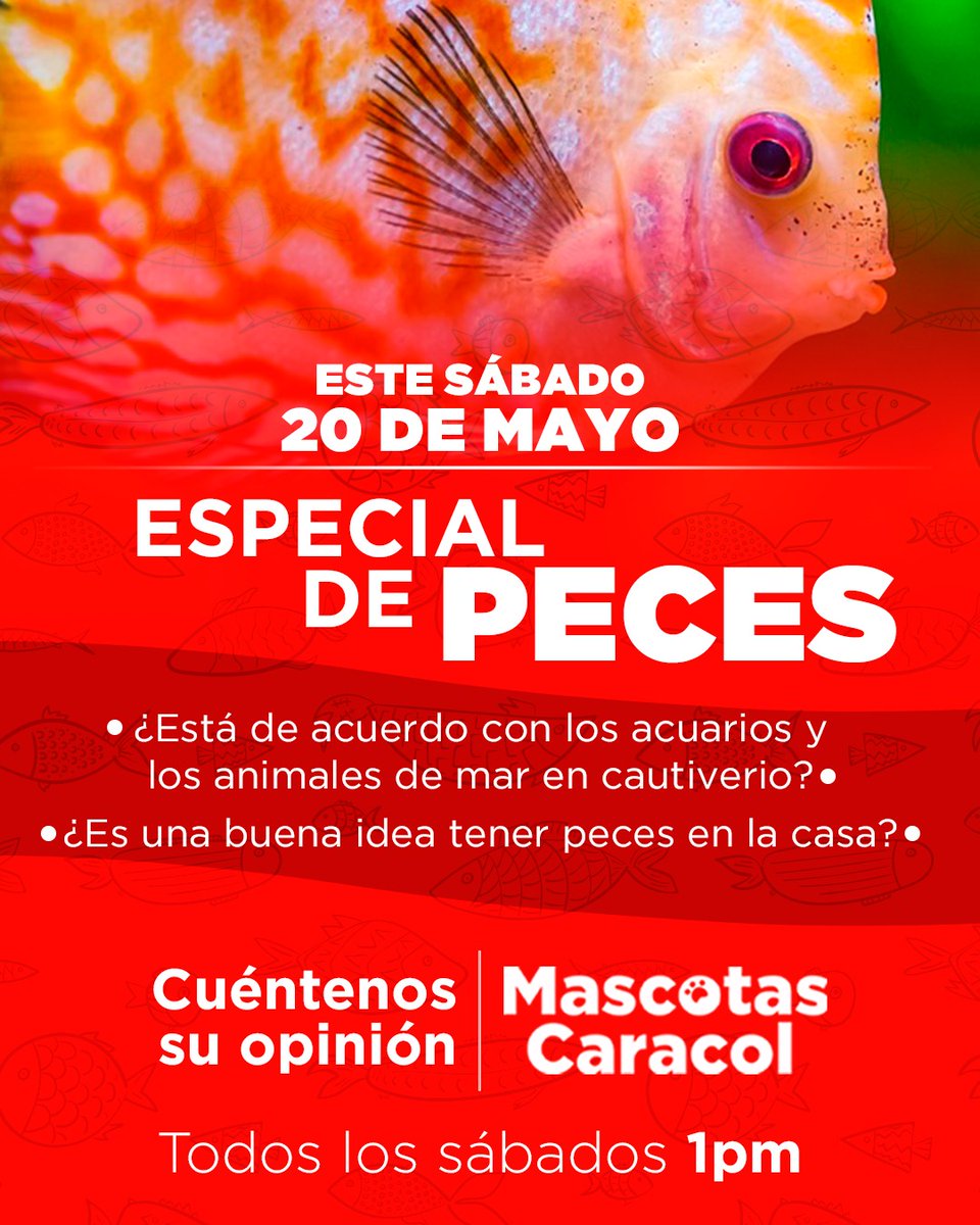 ¿Está de acuerdo con tener peces en su hogar en un acuario? Cuéntenos su opinión.

Sintonícenos en: alacarta.caracol.com.co