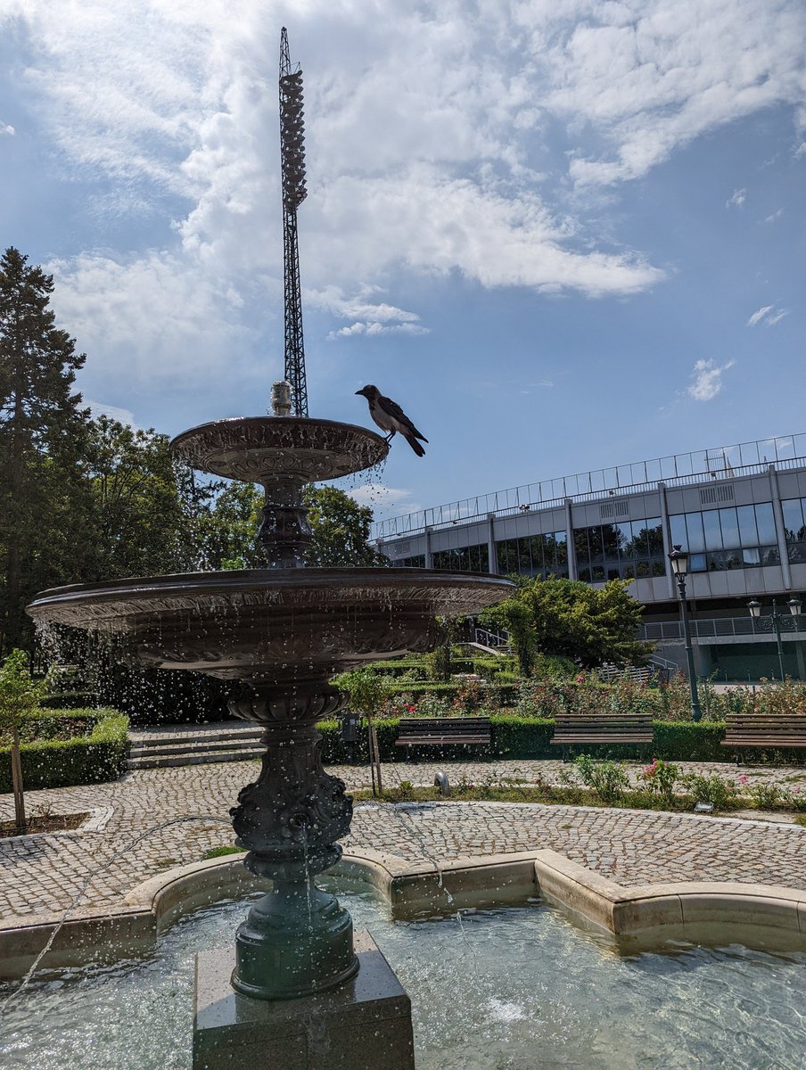 futureunmapped's tweet photo. After visiting Sofia we now judge cities on the quality of the gardens and fountains surrounding their football stadiums. #visitsofia #visitbulgaria #fountains #birdphotography #travelblog #travelcouple #travelcouplegoals #travelpreneur #lifestyledesign #futureunmapped https://t.co/yesvjiSubM