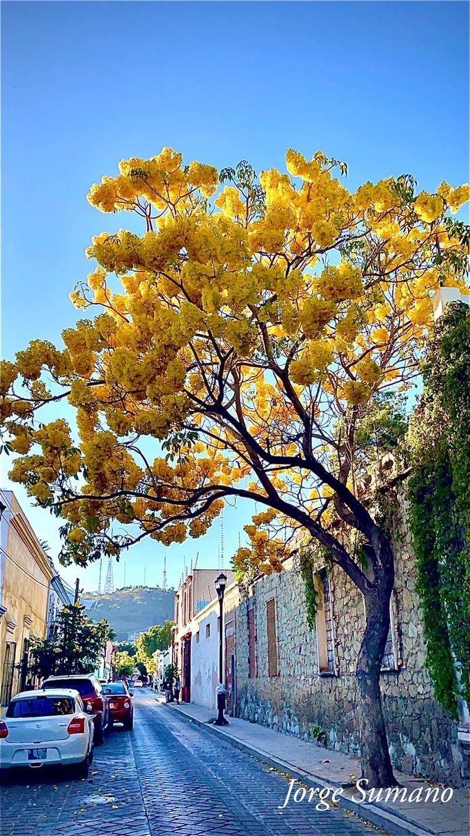 Que bonita eres Oaxaca …