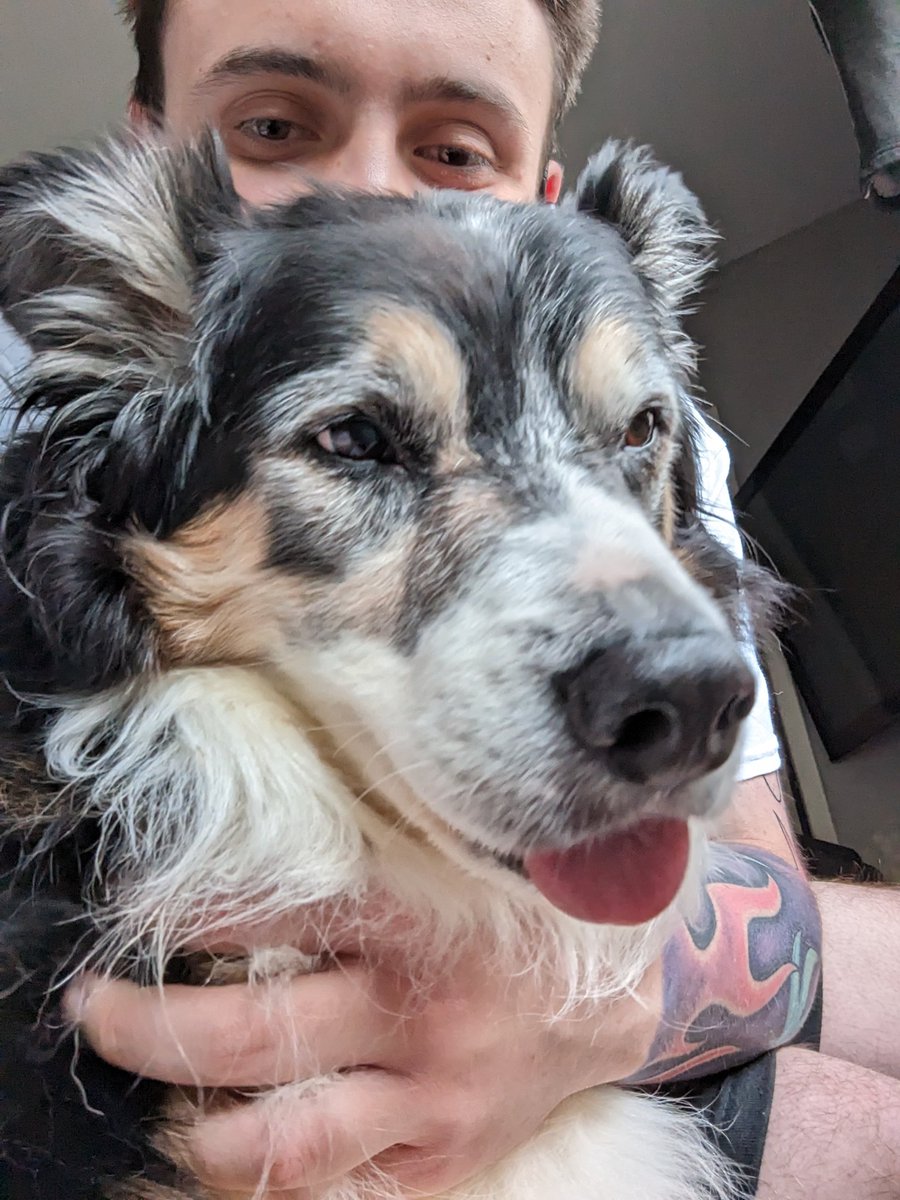 SamMartin159's tweet photo. dog https://t.co/LwcJYf0bCE