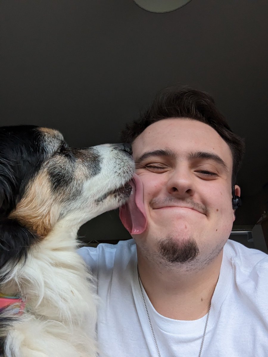 SamMartin159's tweet photo. dog https://t.co/LwcJYf0bCE