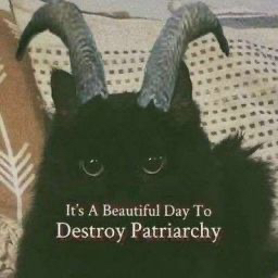 Meowster of None: The Feline Feminist Icon we need.
.
.
.
#catsofinstagram #feminist #smashthepatriarchy #blackphillip #animalactivist #meowsterofnone #catmemes #felinefeminist #animalrights #catcostumes #catcosplay #catpower #girlpower #catlover #catlady #catpeople #catstagram #