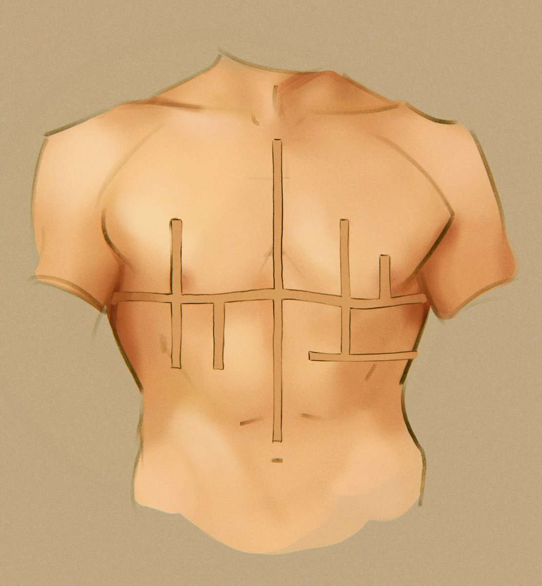 aemiron's tweet photo. personally, i think that discouraging people from stylizing their top surgery scars is a huge creative loss https://t.co/EMuSAnbOnQ