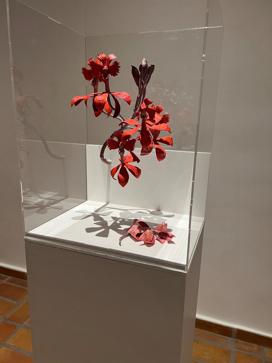 regatasactivas's tweet photo. Orquídeas de una amiga escultora https://t.co/2UGJmCNfCQ