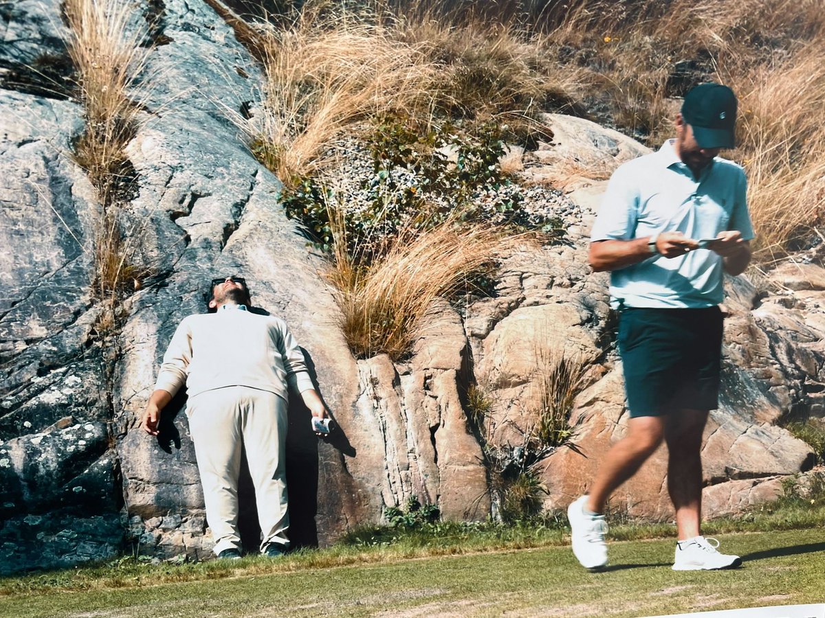 No Laying Up tweet media