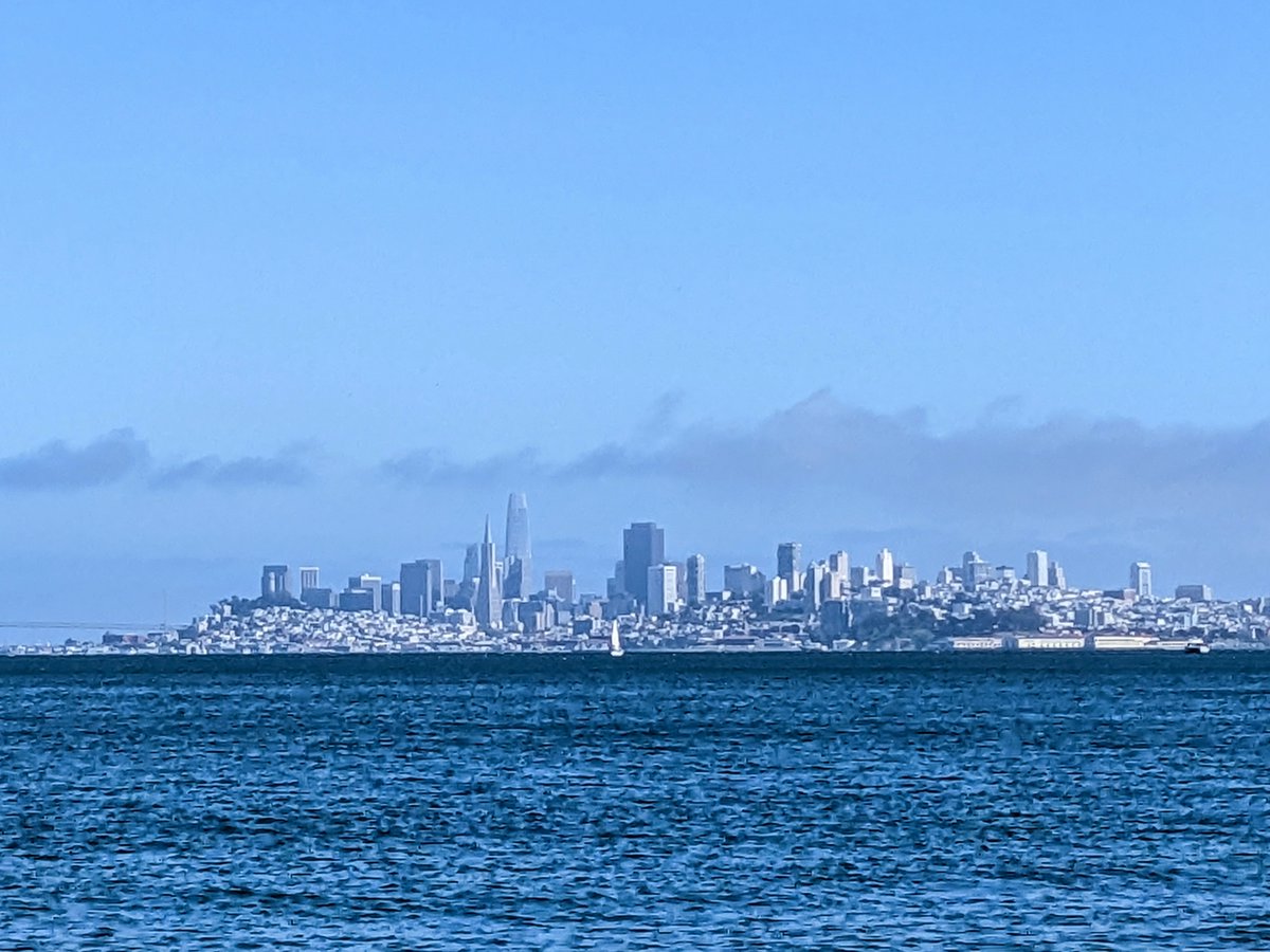 Hello San Francisco! I'm looking forward to a few intensive days of all things psychiatry at #APAAM23.  🤓