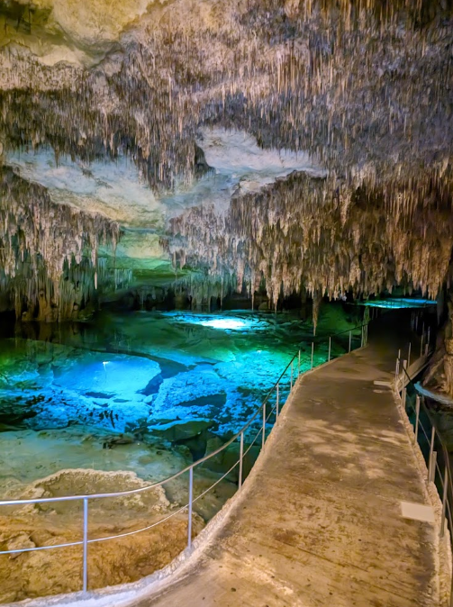 AutosVima's tweet photo. These are the amazing Drac Caves in Porto Cristo! It's a magical experience where the centre of attention is the beautiful lake where your visit is accompanied with an orchestra!
#lake #caves #mallorca #vacation #portocristo #vima #rentacar
https://t.co/I8Dsz4zYmQ https://t.co/UAB7E9l2Ov