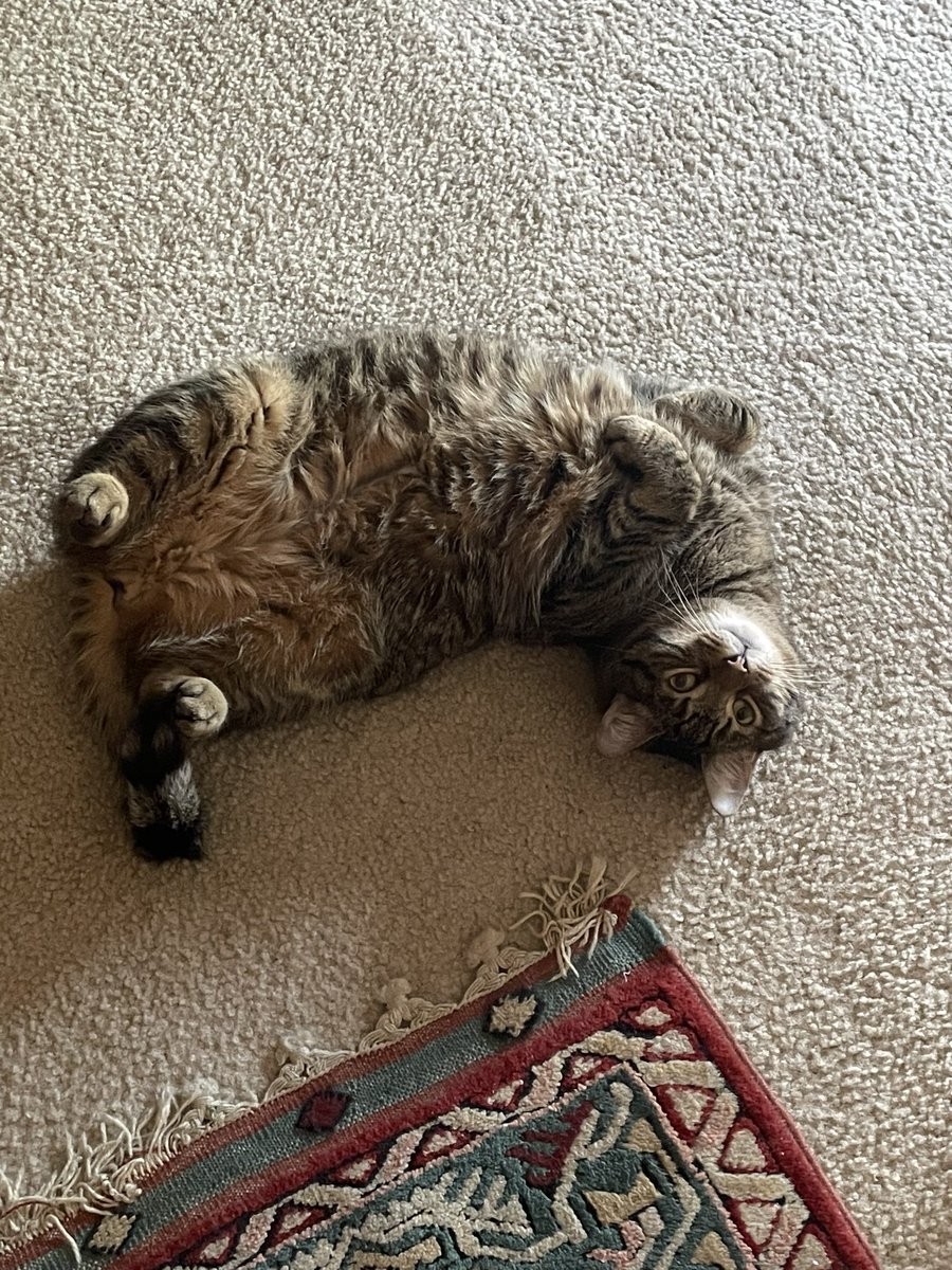sweatyyyyyy's tweet photo. https://t.co/wjgWbhkz2B
