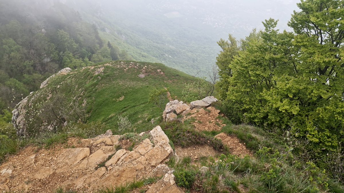 Snip6974's tweet photo. Sortie en montagne pour aller voir #FeuOLac ça fait tellement de bien d'être dans la nature ! 🥰
(OK ça serait bien que le temps se dégage un poil plus) https://t.co/DcFiuSKY3T