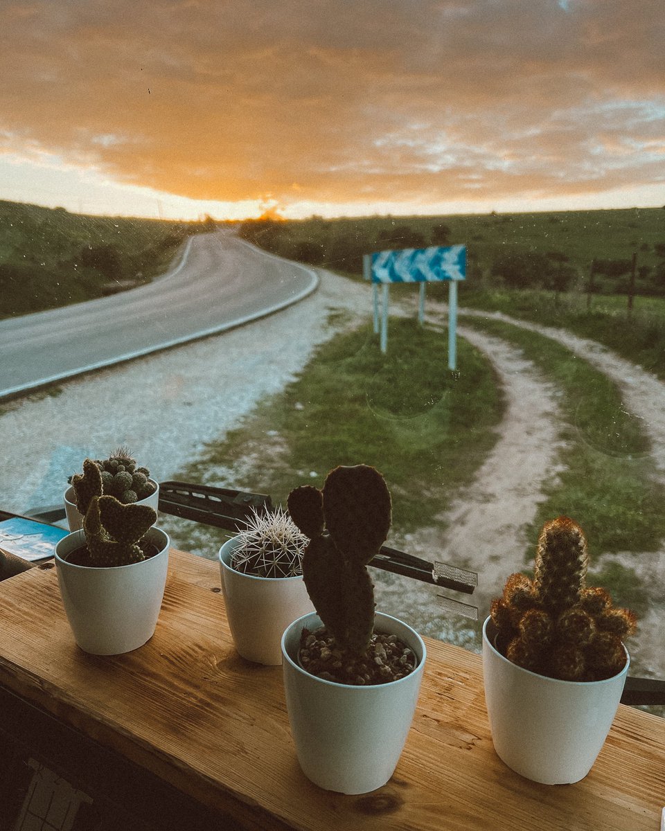 The transformation of the front Garden.
.
#vanlifemovement #vanlifemovement #vanlifeculture #vanlifegram #vanlifecamper #campervanculture #movingtheway #keepyourspiritmoving #vanlifeplants #vanlifegarden #plants #garden #gardeningindoors #campingbusliebe #slowtravel