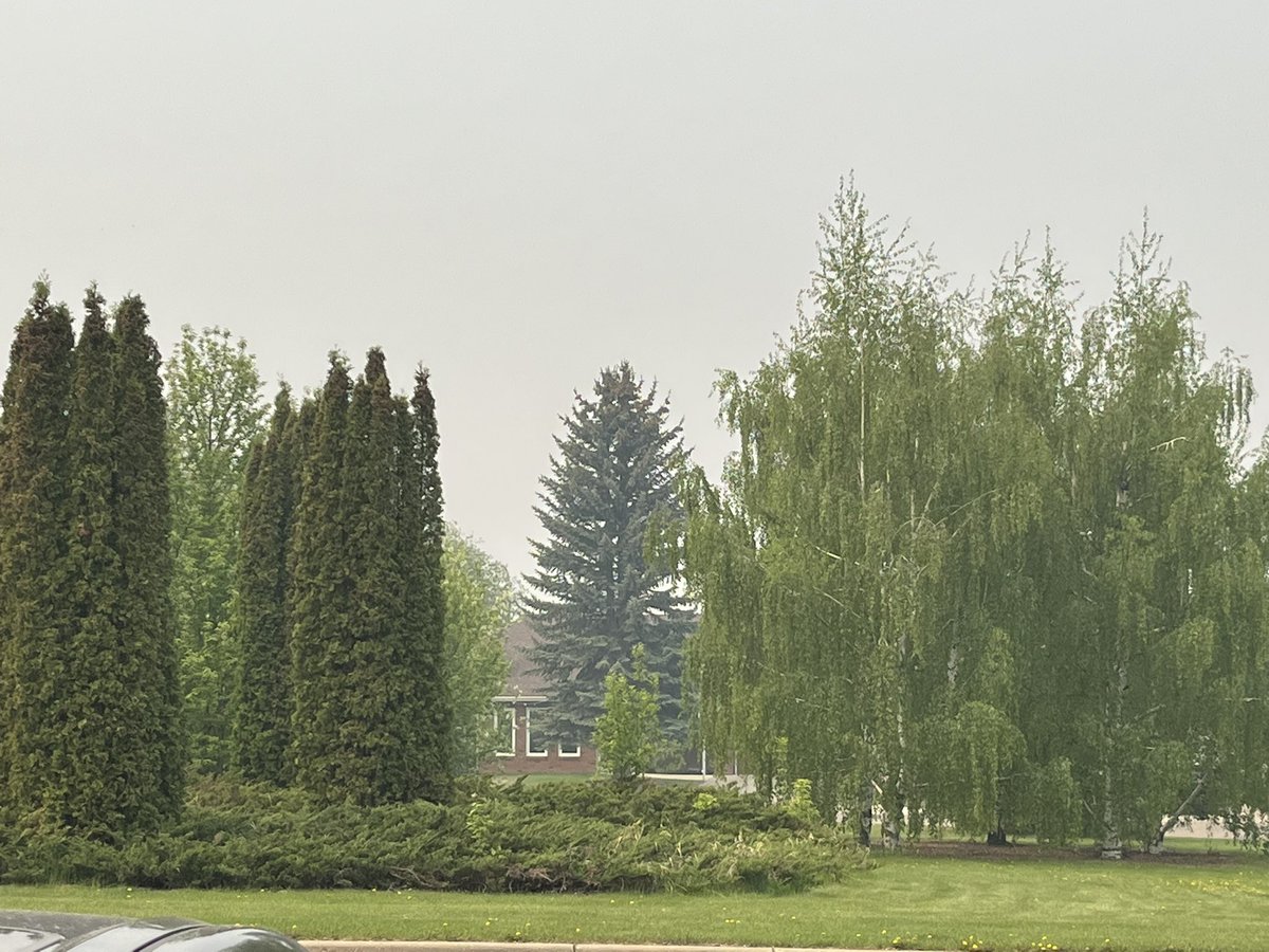 Lianne Krüger @iFamilyHistory tweet media