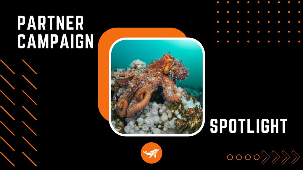Sea_Legacy's tweet photo. We are standing together to #StopOctopusFarming. To help us advocate for octopuses and the affected ecosystems, like and retweet to raise awareness. 

#StopGranjaDePulpos #octopus #octopusfarm https://t.co/uCBPYTaZeK