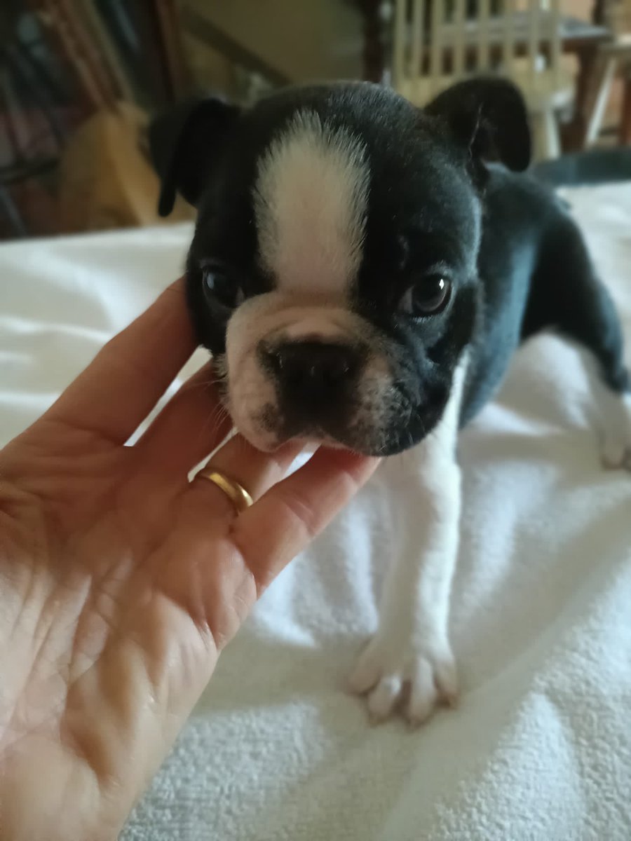 Epitomax 💊 🐍 tweet media