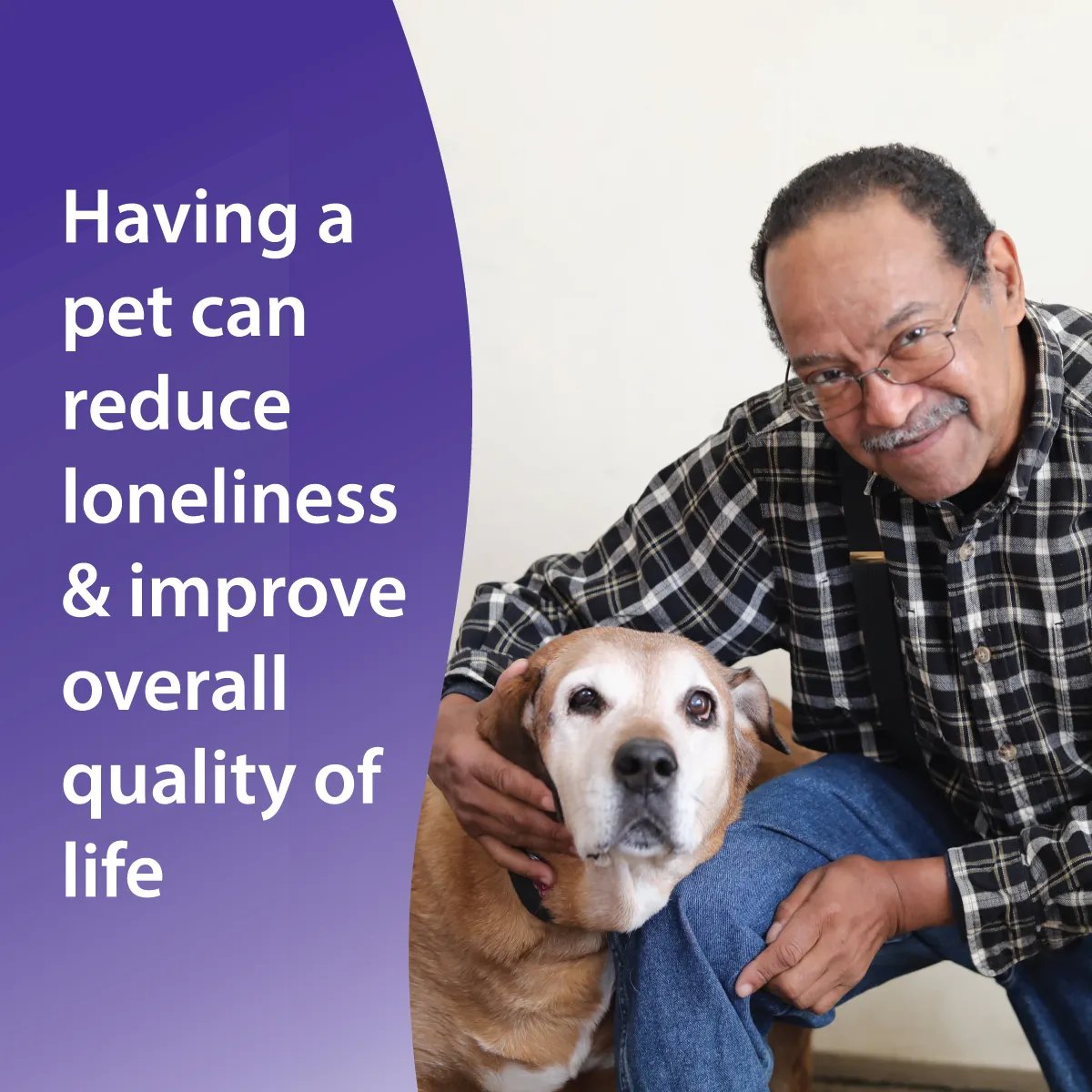 Happy #nationaldogrescueday 🐾 In 2022, you helped us deliver over 76,000 pounds of pet food to our clients through our Senior PetCare program. We were also able to provide vet care for 74 clients’ pets. Thanks!