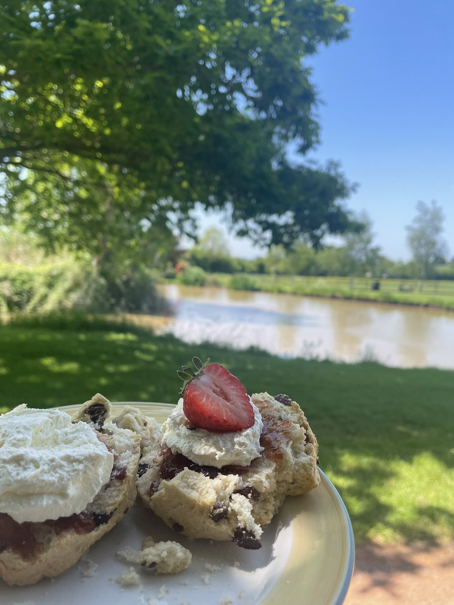 Saturdays don’t get much better than this! Scones in the sunshine…very much needed after a long week at work.☀️🍓🦆#SunnySaturday