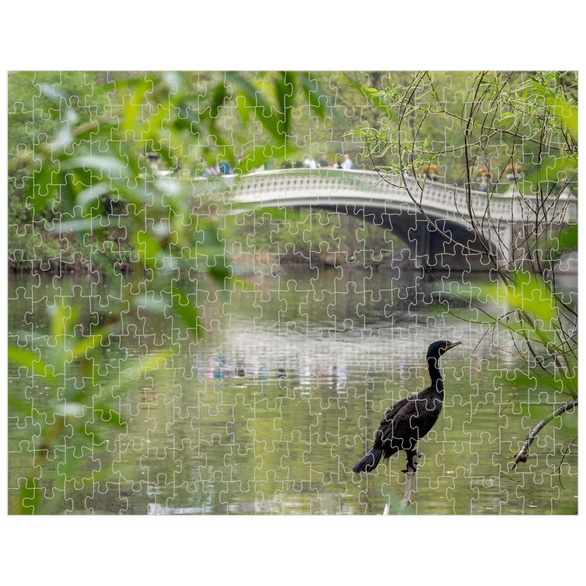 LifeisBalanceTs's tweet photo. Excited to share the latest addition to my #etsy shop: 252, 520 or 1014 piece Jigsaw Puzzle | Double-crested Cormorant and the Bow Bridge | Central Park Puzzle | Birthday Gift | Gift | Games https://t.co/G4fo67BKXK #jigsawpuzzle #partygift #gift #birthdaygift #nyhandma https://t.co/5sbRGWeYYu