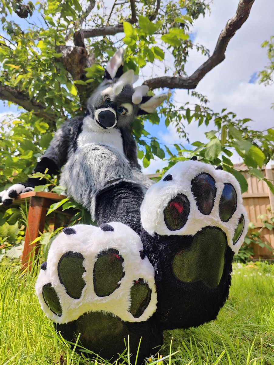 It's a wonderful day for #PawDay ☀️🐾