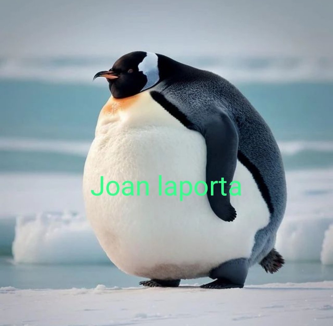 Hoy jugamos contra el equipo del putero y masón <a href="/JoanLaportaFCB/">Joan Laporta Estruch</a>. Hoy, más que nunca #AupaReal !