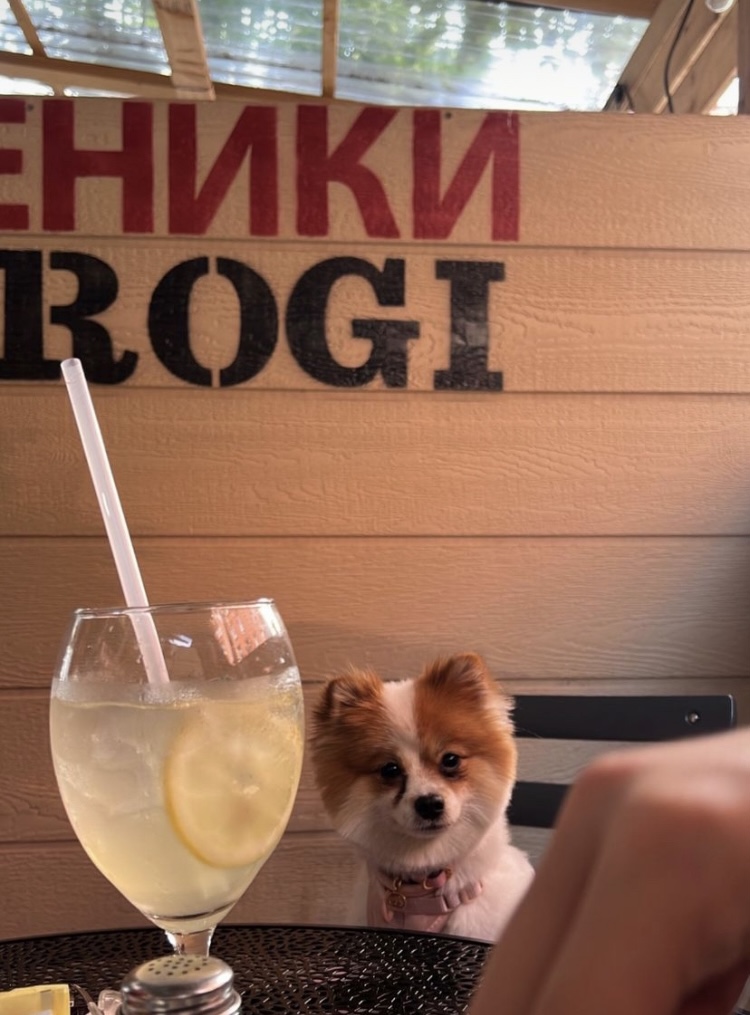 veselkanyc's tweet image. This.

From @danabosland

#dogsofnewyork #dogsofinstagram #dogsofnyc #nycdogs #dogs #dog #dogsofny #dogoftheday #nycdog #instadog #dogsofinstaworld #veselkadogs #veselkanyc #veselka #eastvillagenyc #littleukraine #StandWithUkraine