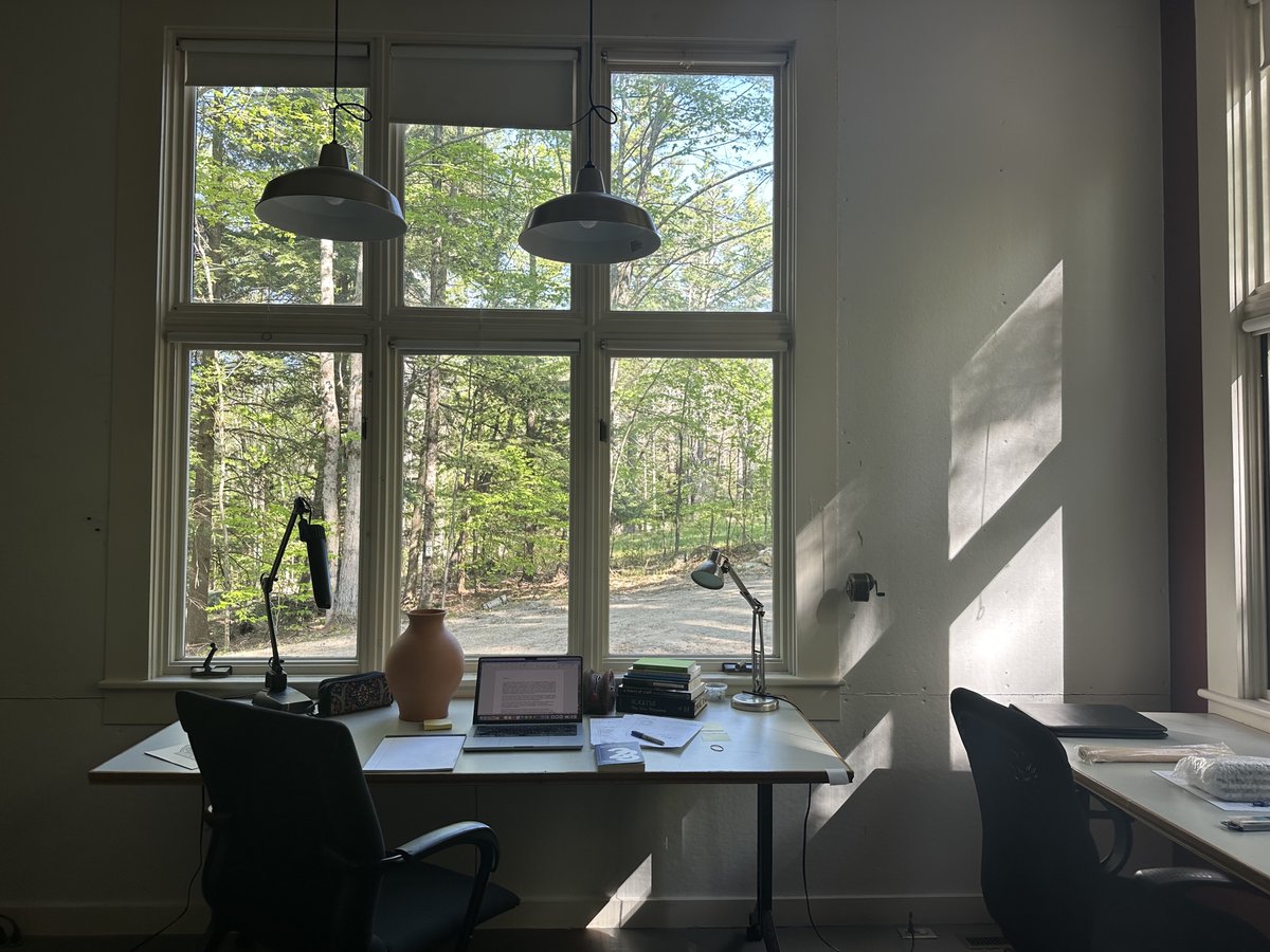 Raheleh Filsoofi راحله فیلسوفی tweet media