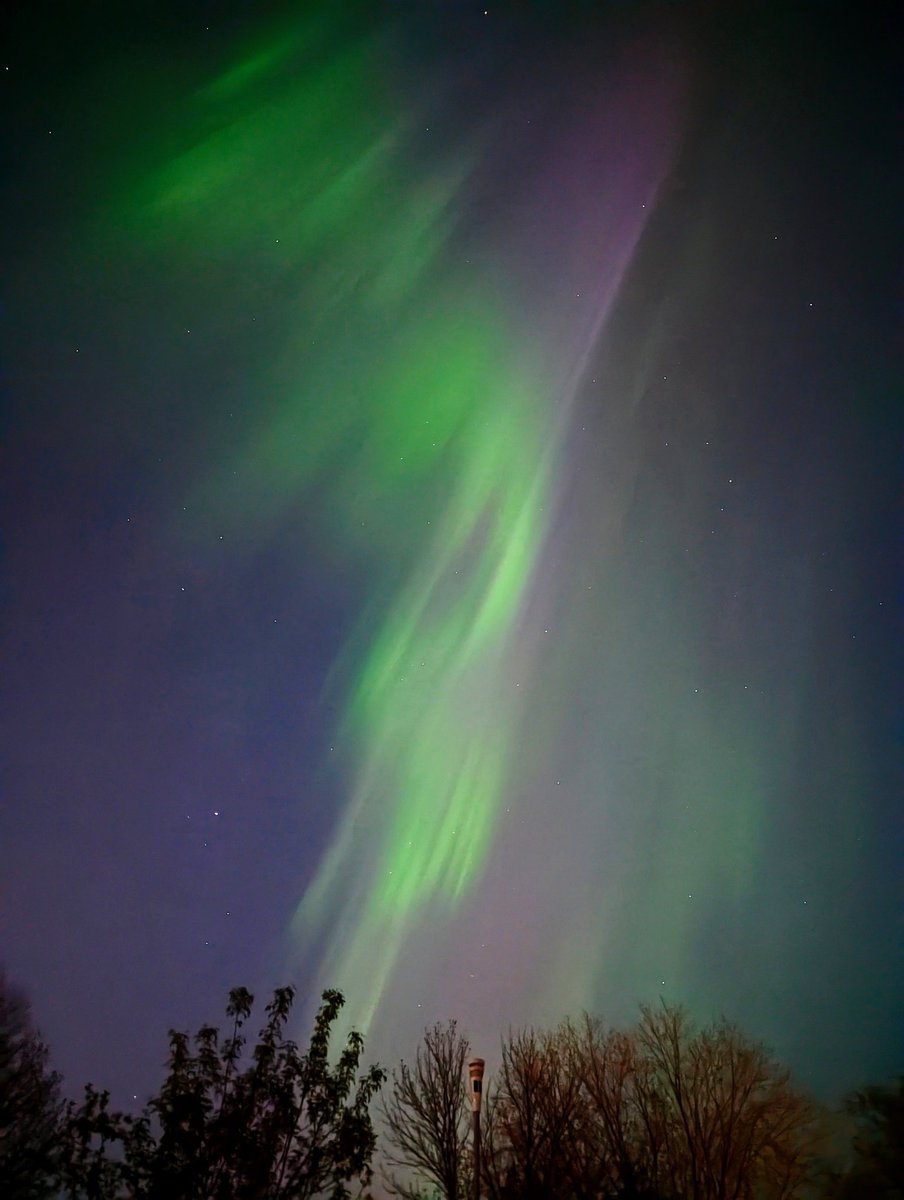 A stunning night for aurora in south Winnipeg. A coat of many colours. 💚💜 #aurora #Auroraborealis #Winnipeg #northernlights #aurora23