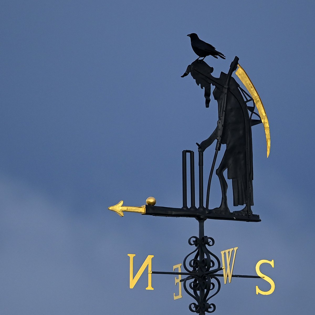 Somerset Cricket 🏆 tweet media