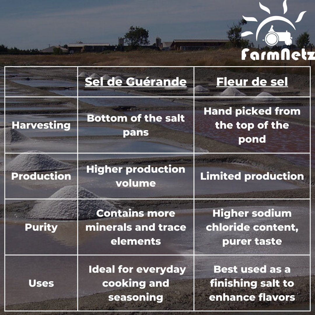 farmnetz's tweet photo. Sel de Guรฉrande vs Fleur de Sel! ๐ซ๐ท Curious about the differences between these two exquisite French salts? Swipe left to discover their unique origins, harvesting methods, tastes, and uses.
#SeldeGuerande #FleurdeSel #FrenchCuisine #SaltMatters #CulinarySecrets #FoodieTips https://t.co/Xnl3eKepqu