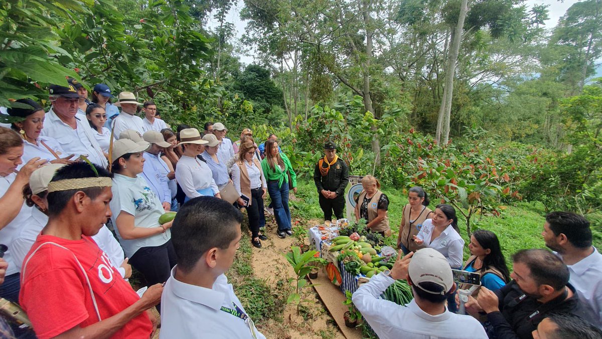 MinAgricultura's tweet image. 📲 #AEstaHora I La ministra @jmojicaflorez  inicia recorrido en  plantaciones de cacao con énfasis en seguridad alimentaria en San Vicente de Chucurí, Santander.