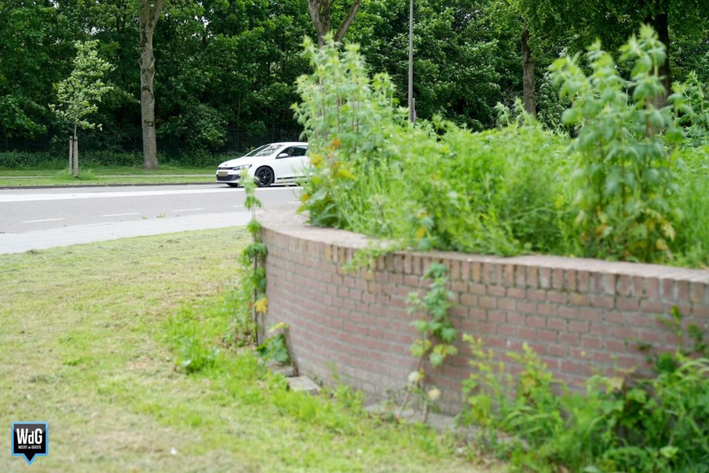 De Weerter VVD stelt vragen over de slechte kwaliteit van groen ➜ weertdegekste.nl/2023/05/de-wee… #Weert