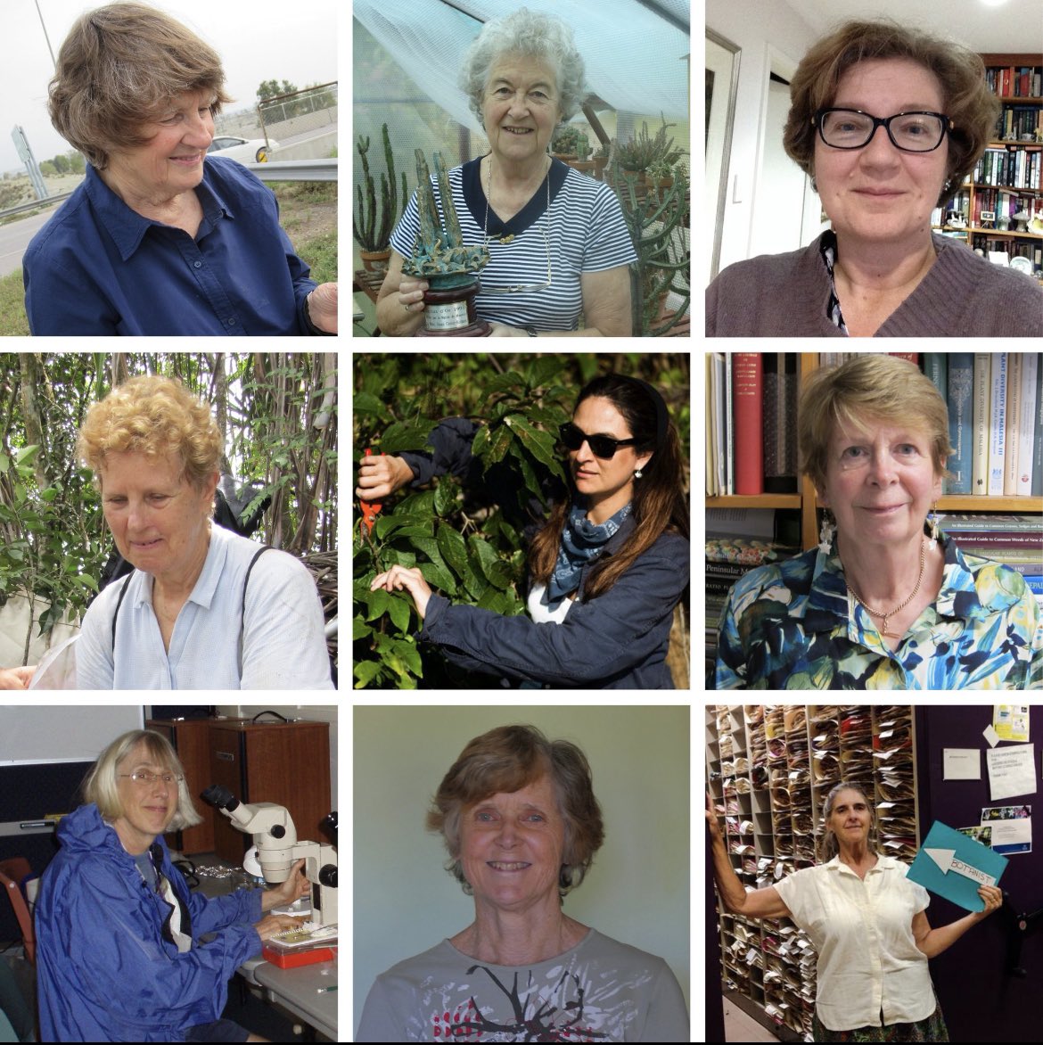 Great to see the personal narrative my #fern mentor Barbara Paris included in this wonderful <a href="/LinneanSociety/">The Linnean Society of London</a> tribute to women in botany - feeling gratitude
