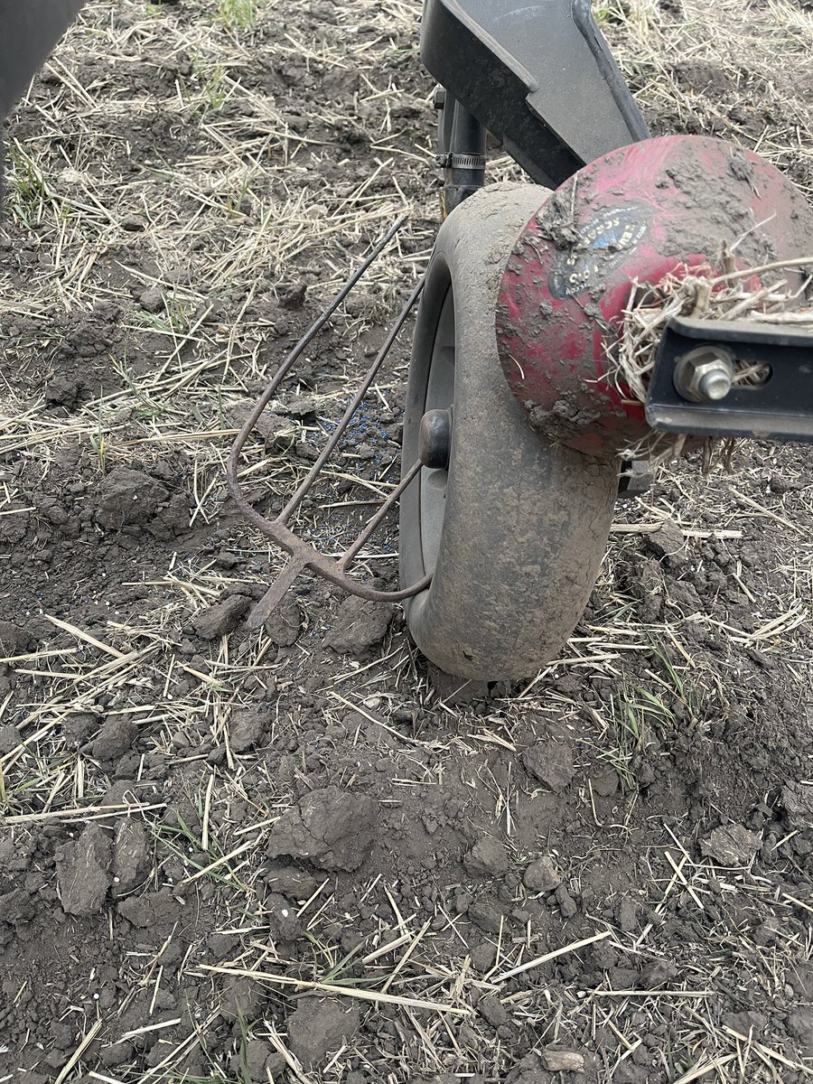 RayHamoline's tweet photo. #Plant2023 what are the chances?  I better buy a lotto ticket. The next time it will be in my tractor or drill tire. Field treasure !! https://t.co/5nEajcWuN1