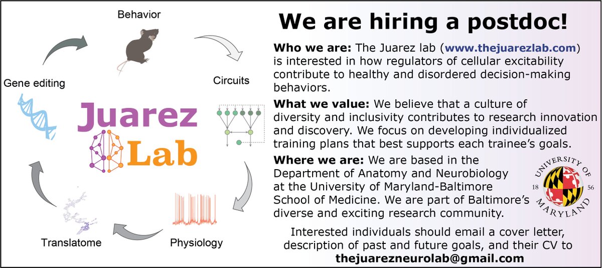 Dr. Barbara Juarez (@touchyourbrain) on Twitter photo <a href="/TheJuarezLab/">TheJuarezLab</a> at <a href="/UMBaltimore/">University of Maryland, Baltimore</a> <a href="/um_neurobio/">Department of Neurobiology at UMSOM</a> is looking to hire a PD interested in the neurophysiological basis of disordered behaviors.
Consider applying if you are interested in brains🧠, gene-editing ✂️🧬, physiology 🔬,and behavior 🐭. More info here: thejuarezlab.com! <a href="/TheJuarezLab/">TheJuarezLab</a> at <a href="/UMBaltimore/">University of Maryland, Baltimore</a> <a href="/um_neurobio/">Department of Neurobiology at UMSOM</a> is looking to hire a PD interested in the neurophysiological basis of disordered behaviors.
Consider applying if you are interested in brains🧠, gene-editing ✂️🧬, physiology 🔬,and behavior 🐭. More info here: thejuarezlab.com!