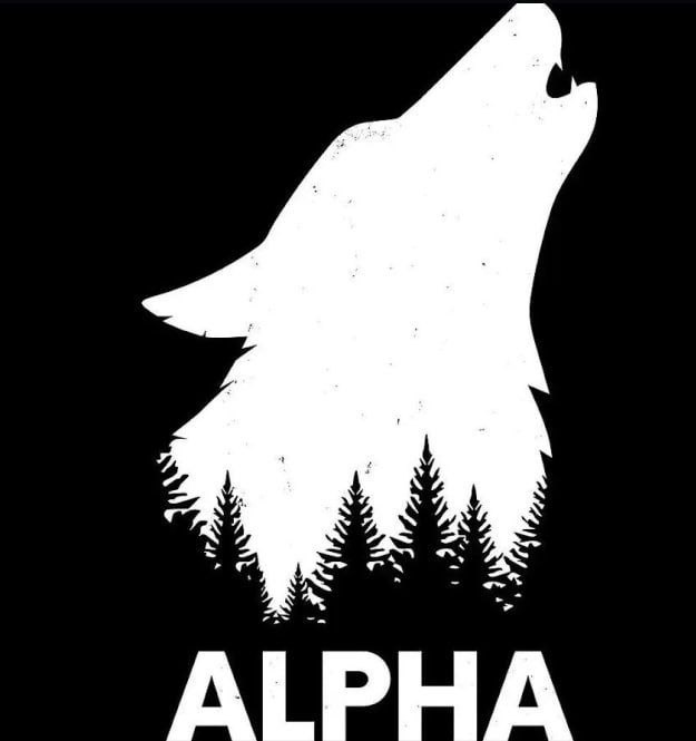 snow bm🗝️✨ tweet media