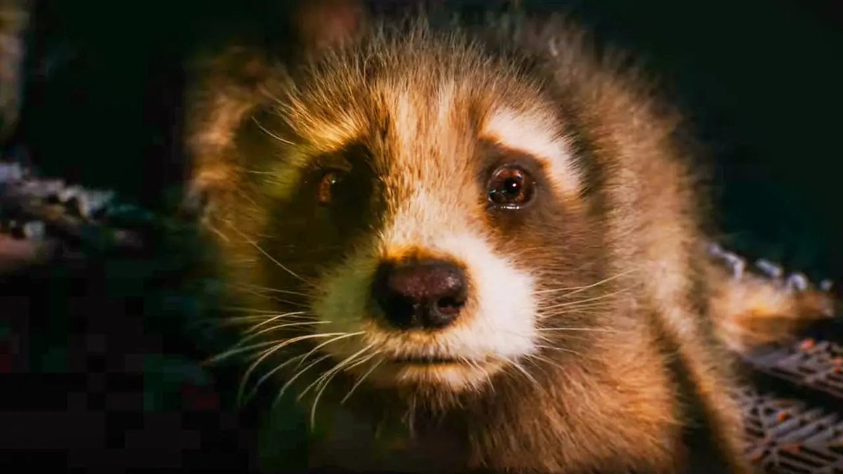 TrallaG's tweet photo. Vista #GuardianesDeLaGalaxia3 #GuardiansoftheGalaxyVol3  y un 8/10. Peli disfrutona en el cine, como debe ser. ¿Habrá vol. 4 sin Gunn? https://t.co/aKsS2aZnfO